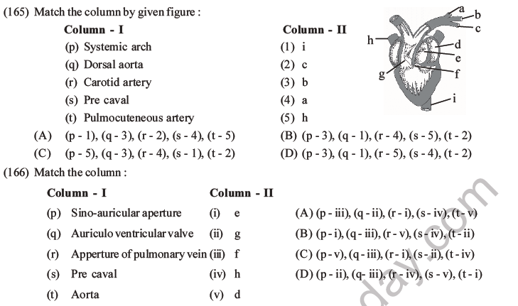 NEET Biology Animal Morphology and Anatomy MCQs Set B-54