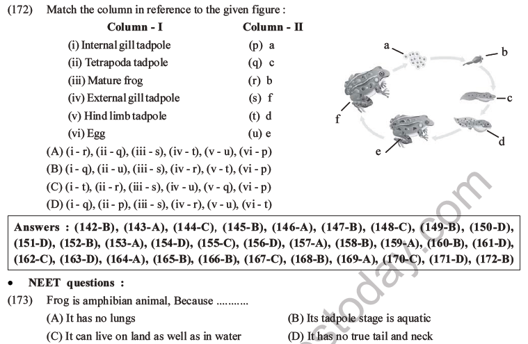NEET Biology Animal Morphology and Anatomy MCQs Set B-57