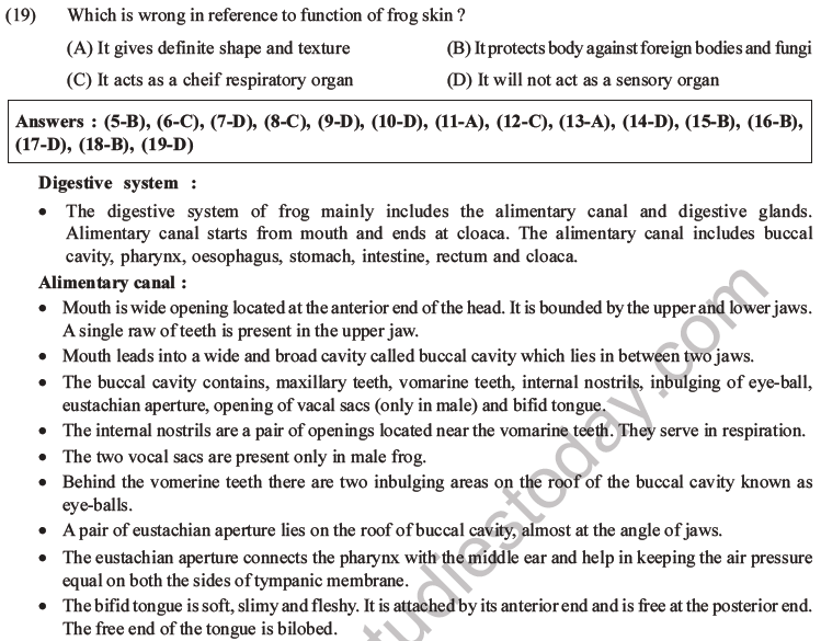 NEET Biology Animal Morphology and Anatomy MCQs Set B-6