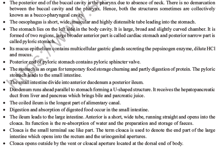 NEET Biology Animal Morphology and Anatomy MCQs Set B-7