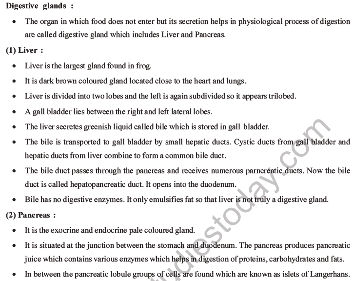 NEET Biology Animal Morphology and Anatomy MCQs Set B-8