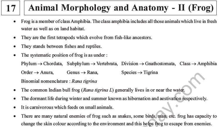 NEET Biology Animal Morphology and Anatomy MCQs Set B