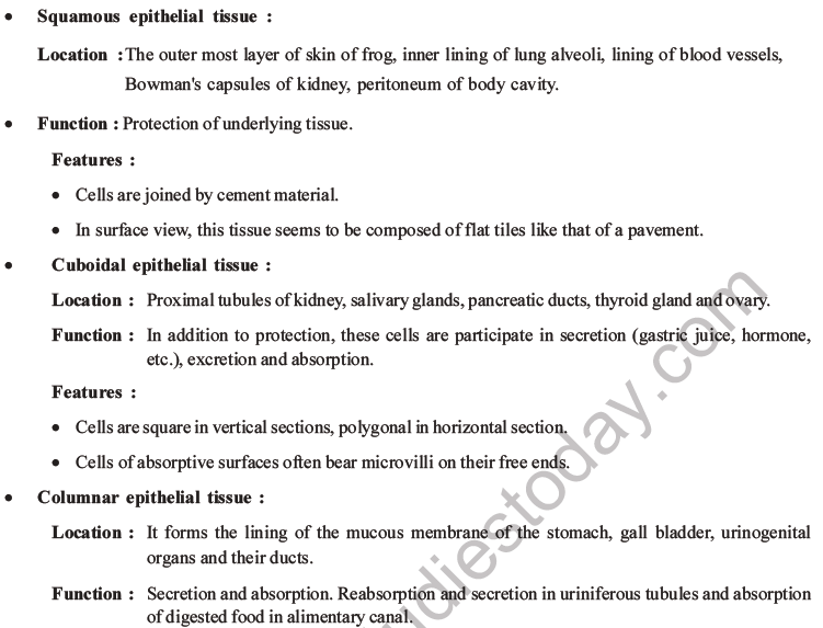 NEET Biology Animal Tissue MCQs Set A-1