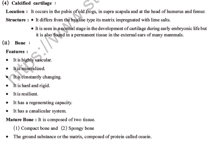 NEET Biology Animal Tissue MCQs Set A-12