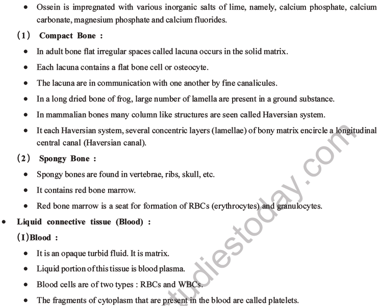 NEET Biology Animal Tissue MCQs Set A-13