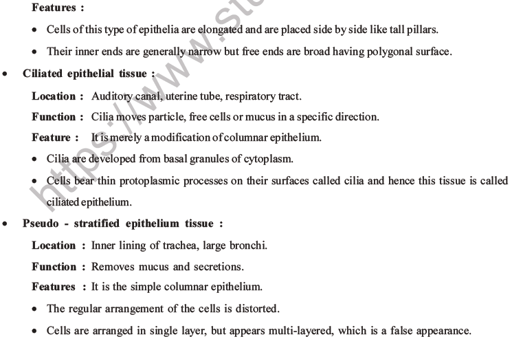 NEET Biology Animal Tissue MCQs Set A-2