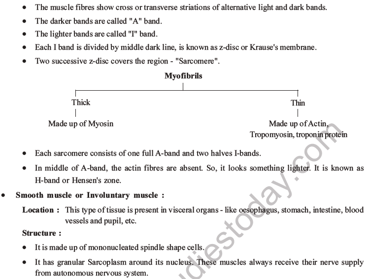 NEET Biology Animal Tissue MCQs Set A-25