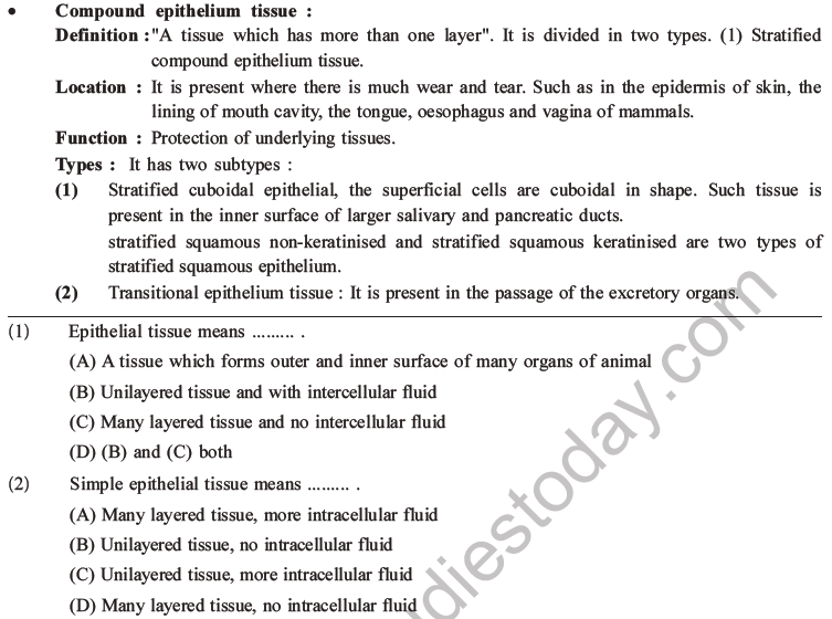 NEET Biology Animal Tissue MCQs Set A-3