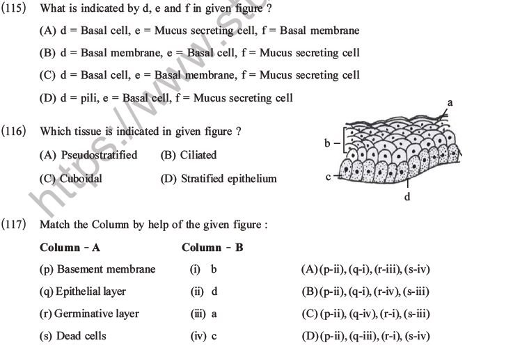 NEET Biology Animal Tissue MCQs Set A-42