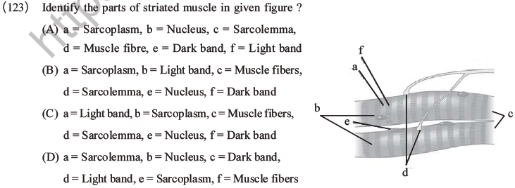 NEET Biology Animal Tissue MCQs Set A-45