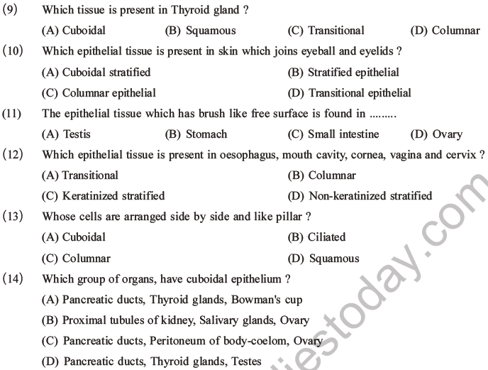 NEET Biology Animal Tissue MCQs Set A-5