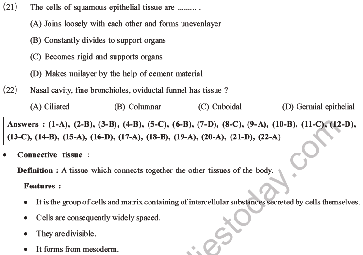 NEET Biology Animal Tissue MCQs Set A-7