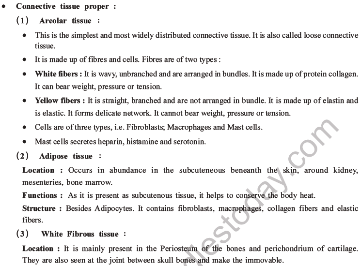 NEET Biology Animal Tissue MCQs Set A-9