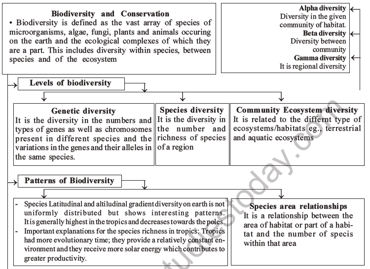 NEET Biology Biodiversity and Its Conservation MCQs Set B-45