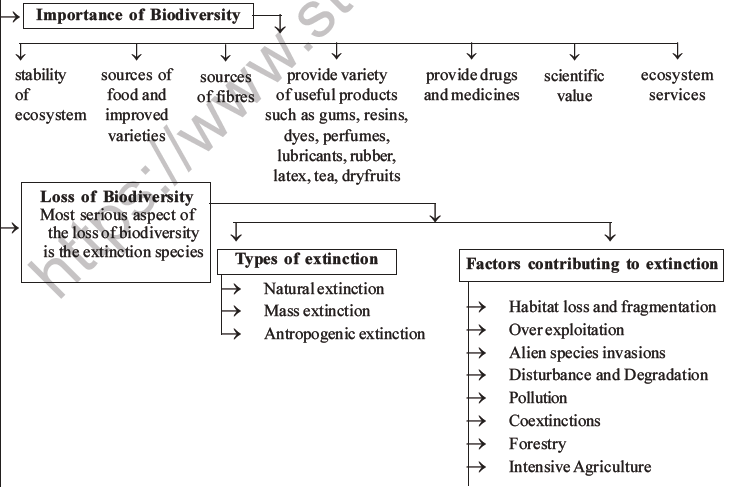 NEET Biology Biodiversity and Its Conservation MCQs Set B-46