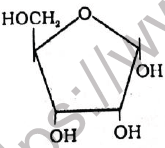 NEET Biology Biomolecules MCQs Set A-7