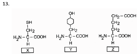 NEET Biology Biomolecules MCQs Set A