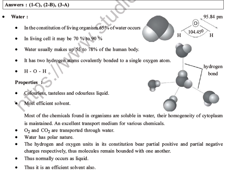 NEET Biology Biomolecules MCQs Set C-