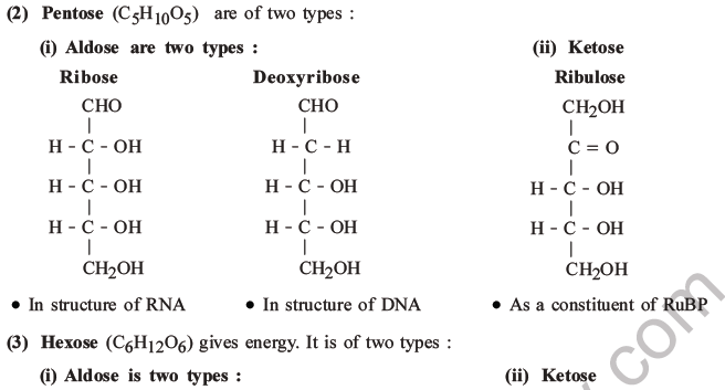 NEET Biology Biomolecules MCQs Set C-10