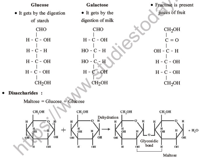 NEET Biology Biomolecules MCQs Set C-11