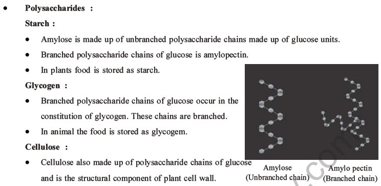 NEET Biology Biomolecules MCQs Set C-13