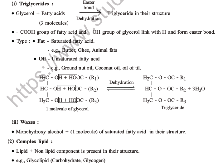 NEET Biology Biomolecules MCQs Set C-21