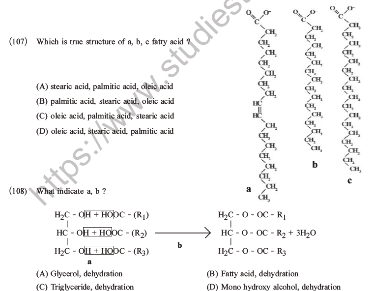 NEET Biology Biomolecules MCQs Set C-41