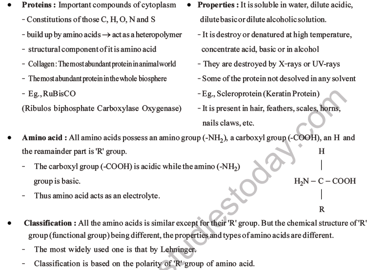 NEET Biology Biomolecules MCQs Set C-46