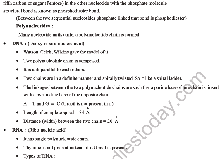 NEET Biology Biomolecules MCQs Set D-10