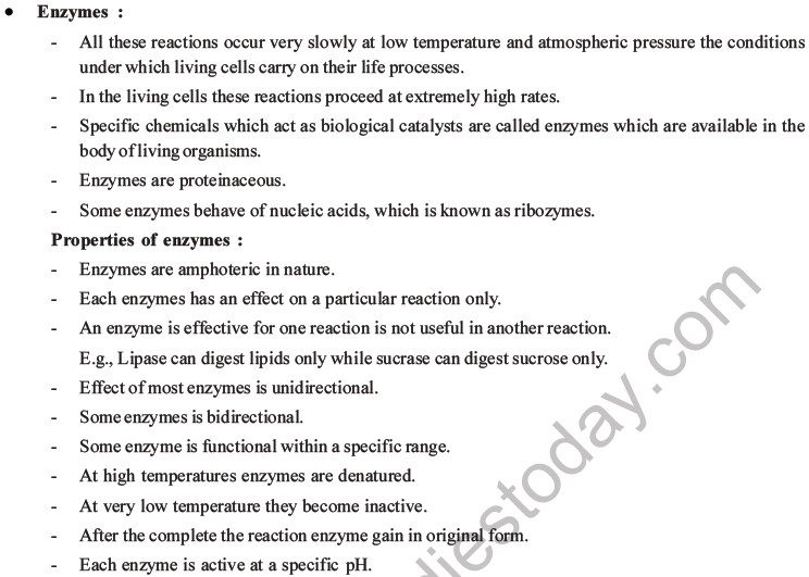 NEET Biology Biomolecules MCQs Set D-16