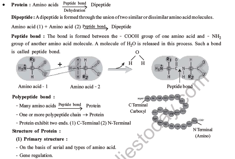 NEET Biology Biomolecules MCQs Set D-2