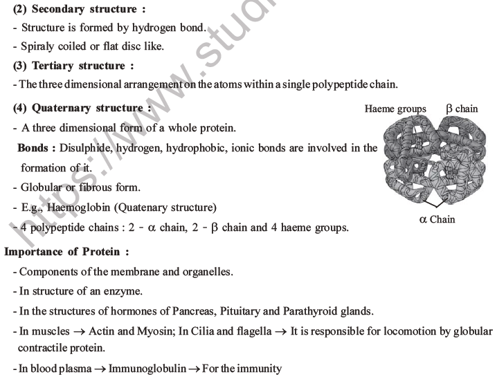 NEET Biology Biomolecules MCQs Set D-3