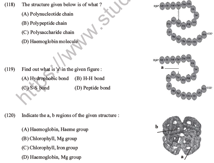 NEET Biology Biomolecules MCQs Set D-31
