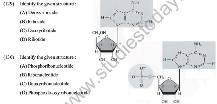 NEET Biology Biomolecules MCQs Set D-35