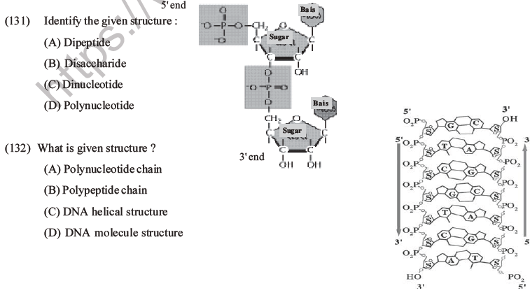 NEET Biology Biomolecules MCQs Set D-36