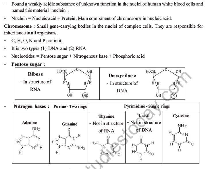 NEET Biology Biomolecules MCQs Set D-8