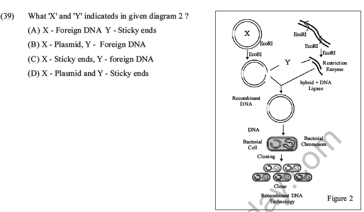 NEET Biology Biotechnology and Its Applications MCQs Set A-13