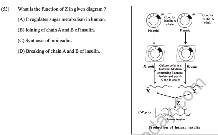 NEET Biology Biotechnology and Its Applications MCQs Set B-15