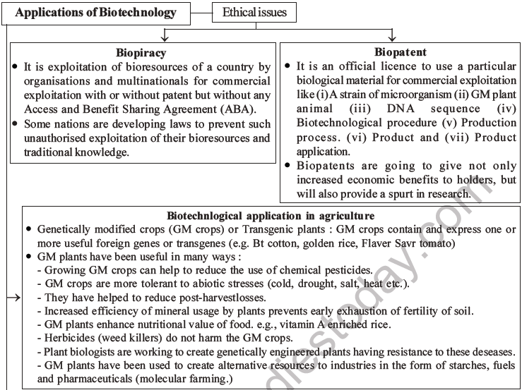 NEET Biology Biotechnology and Its Applications MCQs Set B-20