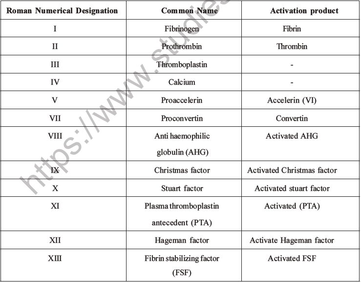 NEET Biology Body Fluids and Circulation MCQs Set B-11