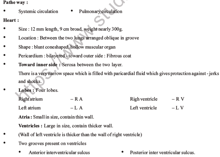 NEET Biology Body Fluids and Circulation MCQs Set B-19