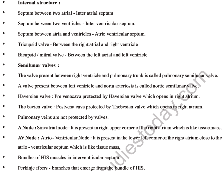 NEET Biology Body Fluids and Circulation MCQs Set B-20