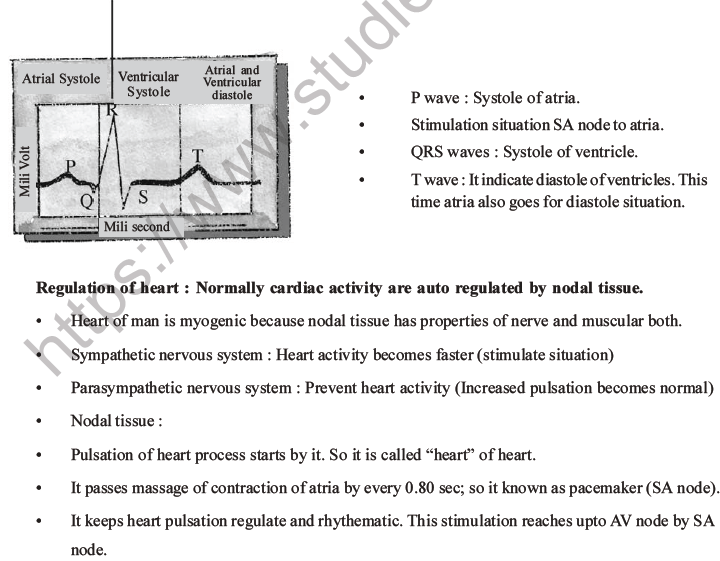 NEET Biology Body Fluids and Circulation MCQs Set B-27