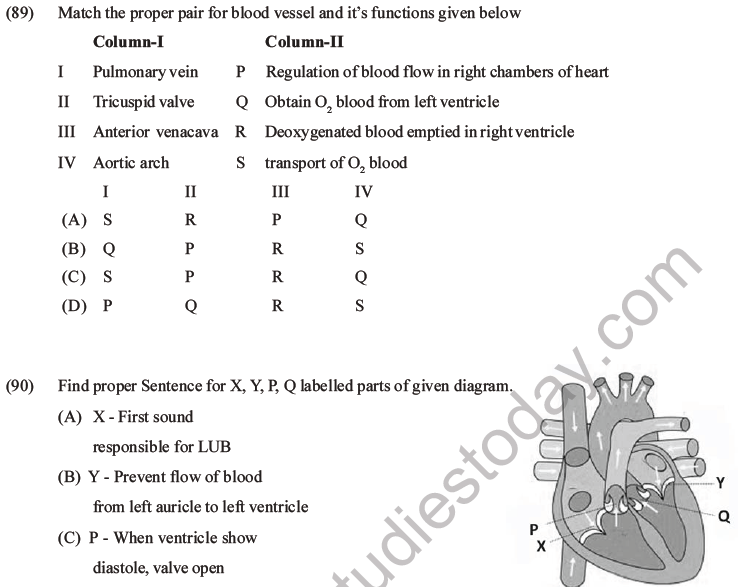 NEET Biology Body Fluids and Circulation MCQs Set B-39