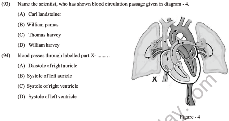 NEET Biology Body Fluids and Circulation MCQs Set B-41