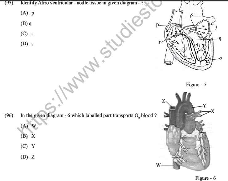 NEET Biology Body Fluids and Circulation MCQs Set B-42