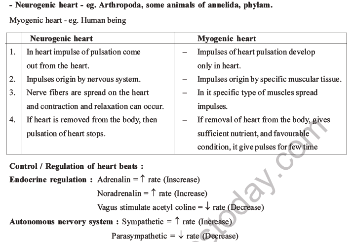 NEET Biology Body Fluids and Circulation MCQs Set B-47