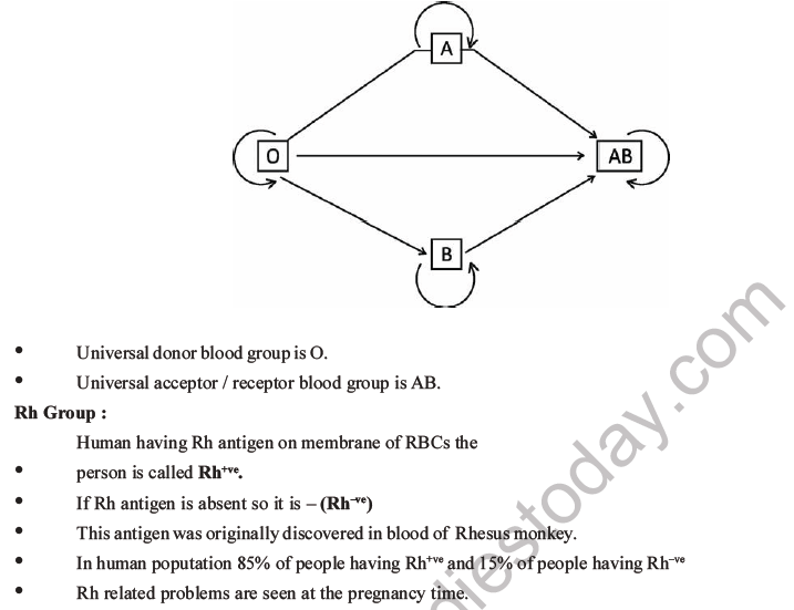 NEET Biology Body Fluids and Circulation MCQs Set B-6