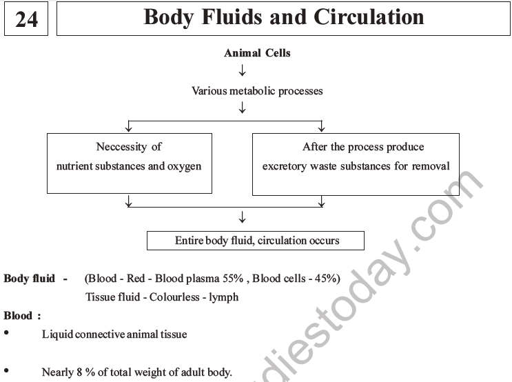 NEET Biology Body Fluids and Circulation MCQs Set B