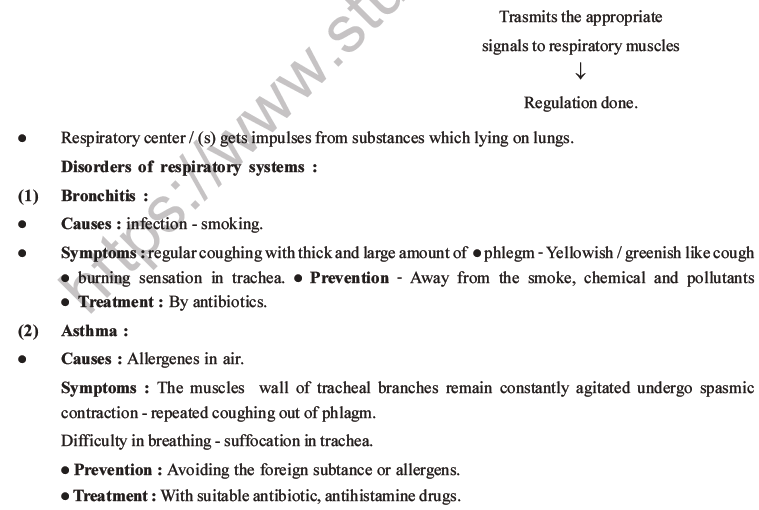 NEET Biology Breathing and Exchange of Gases MCQs Set B-18
